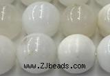 COP1733 15.5 inches 12mm round white opal beads wholesale