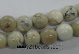 COP803 15.5 inches 10mm round natural African opal beads