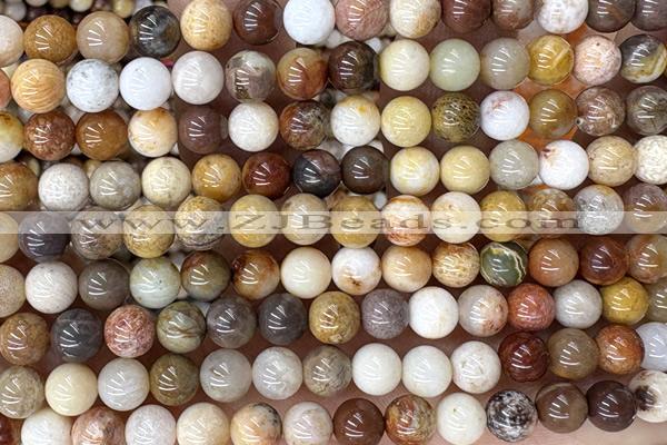 CORA01 15 inches 6mm round China fossil coral beads wholesale