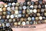 CPB1031 15.5 inches 8mm round pietersite beads wholesale