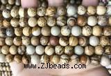 CPJ660 15.5 inches 8mm round picture jasper beads wholesale