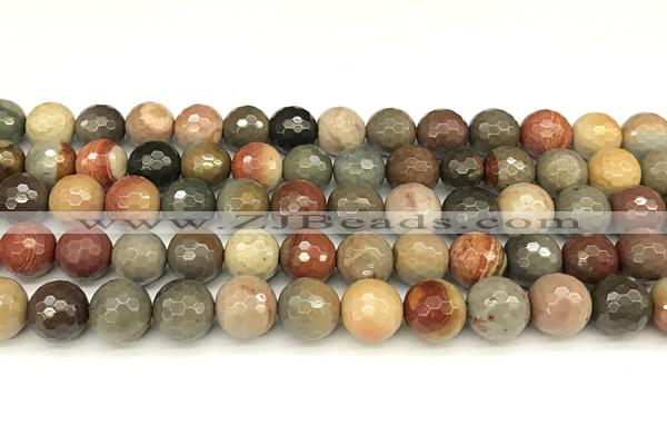 CPJ697 15 inches 10mm faceted round American picture jasper beads