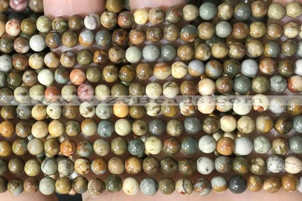 CPJ706 15.5 inches 4mm round rocky butte picture jasper beads
