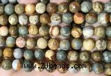 CPJ710 15.5 inches 12mm round rocky butte picture jasper beads