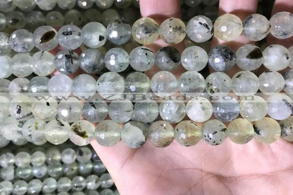 CPR359 15.5 inches 10mm faceted round prehnite beads wholesale