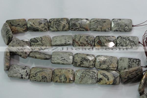 CPT131 15.5 inches 20*30mm faceted rectangle grey picture jasper beads
