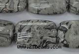 CPT182 15.5 inches 20*30mm rectangle grey picture jasper beads