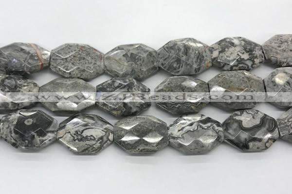 CPT581 20*30mm - 22*32mm faceted octagonal grey picture jasper beads