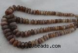 CRB1112 15.5 inches 5*8mm - 9*18mm rondelle moonstone beads