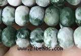 CRB5108 15.5 inches 4*6mm faceted rondelle green spot stone beads