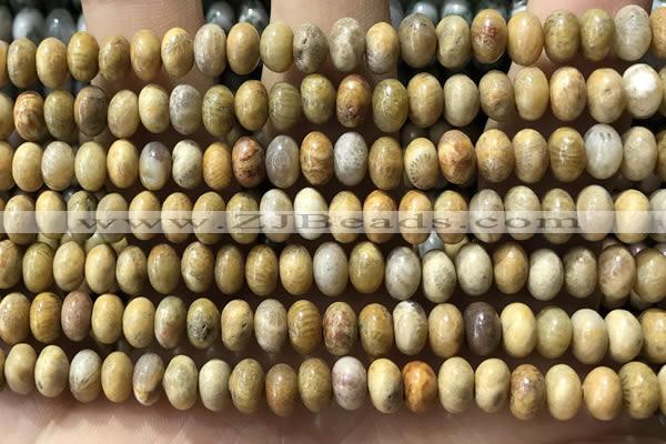 CRB5321 15.5 inches 4*6mm rondelle fossil coral beads wholesale