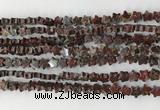 CRG30 15.5 inches 6mm flat star poppy jasper beads wholesale