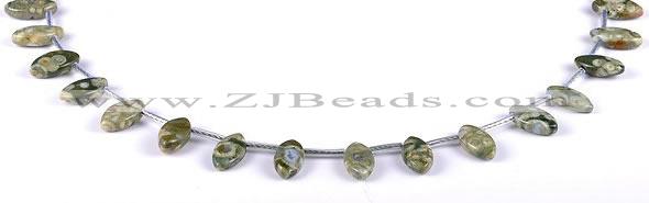 CRH11 6*12mm natural rhyolite marquise gemstone beads Wholesale