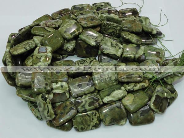 CRH28 15.5 inches 22*30mm rectangle rhyolite beads wholesale