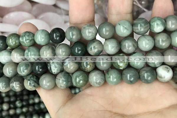 CRM203 15.5 inches 10mm round green mud jasper beads wholesale