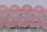 CRQ253 15.5 inches 10mm round rose quartz beads Wholesale