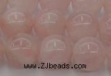 CRQ673 15.5 inches 12mm round rose quartz beads wholesale