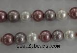 CSB1036 15.5 inches 8mm round mixed color shell pearl beads