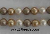 CSB1040 15.5 inches 8mm round mixed color shell pearl beads