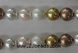 CSB1064 15.5 inches 10mm round mixed color shell pearl beads