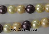 CSB1072 15.5 inches 10mm round mixed color shell pearl beads