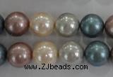 CSB1094 15.5 inches 12mm round mixed color shell pearl beads