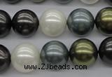 CSB1125 15.5 inches 14mm round mixed color shell pearl beads