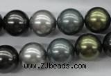 CSB1126 15.5 inches 14mm round mixed color shell pearl beads