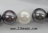 CSB1150 15.5 inches 16mm round mixed color shell pearl beads