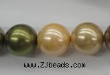 CSB1156 15.5 inches 16mm round mixed color shell pearl beads