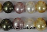 CSB156 15.5 inches 12*15mm – 13*16mm oval mixed color shell pearl beads