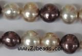 CSB157 15.5 inches 12*15mm – 13*16mm oval mixed color shell pearl beads