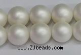 CSB1603 15.5 inches 10mm round matte shell pearl beads wholesale