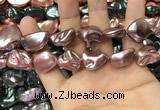 CSB2174 15.5 inches 16*16mm - 20*22mm baroque shell pearl beads