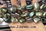 CSB2181 15.5 inches 16*16mm - 20*22mm baroque mixed shell pearl beads