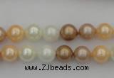 CSB311 15.5 inches 8mm round mixed color shell pearl beads