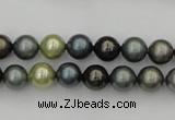 CSB316 15.5 inches 8mm round mixed color shell pearl beads