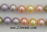 CSB330 15.5 inches 10mm round mixed color shell pearl beads