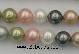 CSB331 15.5 inches 10mm round mixed color shell pearl beads