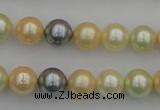 CSB333 15.5 inches 10mm round mixed color shell pearl beads