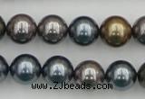 CSB366 15.5 inches 12mm round mixed color shell pearl beads