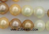 CSB371 15.5 inches 14mm round mixed color shell pearl beads