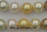 CSB372 15.5 inches 14mm round mixed color shell pearl beads