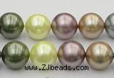 CSB381 15.5 inches 14mm round mixed color shell pearl beads