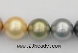 CSB395 15.5 inches 16mm round mixed color shell pearl beads