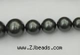 CSB403 15.5 inches 8mm - 16mm round shell pearl beads