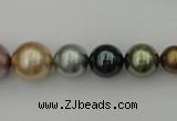 CSB409 15.5 inches 8mm - 16mm round mixed color shell pearl beads