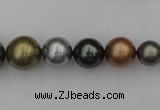 CSB410 15.5 inches 8mm - 16mm round mixed color shell pearl beads