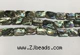 CSB4155 15.5 inches 13*18mm rectangle abalone shell beads wholesale