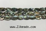 CSB4161 15.5 inches 12*16mm flat drum abalone shell beads wholesale